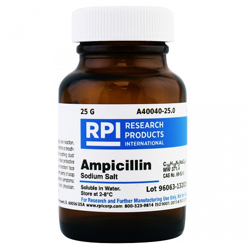 Ampicillina